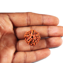 Load image into Gallery viewer, 5 Mukhi Rudraksha from Nepal - Bead No. 460