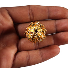 Load image into Gallery viewer, 5 Mukhi Goldpating Rudraksha from Nepal- bead no.498
