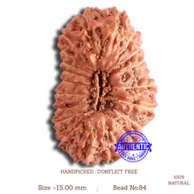 Load image into Gallery viewer, 20 Mukhi Indonesian Rudraksha - Bead 84