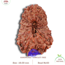 Load image into Gallery viewer, 20 Mukhi Indonesian Rudraksha - Bead 63