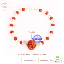 Load image into Gallery viewer, 7 Mukhi Wrist Band (Nepalese) - Type 2