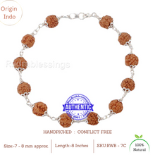 Load image into Gallery viewer, 7 Mukhi Rudraksha Bracelet (Pure silver) - Type 1