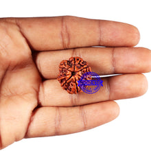 Load image into Gallery viewer, 7 Mukhi Nepalese Rudraksha - Bead No 676