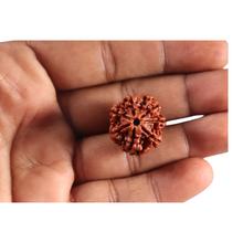 Load image into Gallery viewer, 7 Mukhi Nepalese Rudraksha - Bead No 139