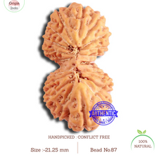 Load image into Gallery viewer, 20 Mukhi Ganesha + Gaurishank Indonesian Rudraksha - Bead 87