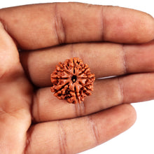 Load image into Gallery viewer, 8 Mukhi Nepalese Rudraksha - Bead No. 418