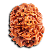 Load image into Gallery viewer, 8 Mukhi Nepalese Rudraksha - Bead No. 413