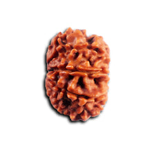 Load image into Gallery viewer, 8 Mukhi Nepalese Rudraksha - Bead No. 462