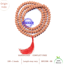 Load image into Gallery viewer, 9 mukhi Rudraksha Mala - Indonesian (108 + 1 beads)