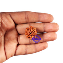 Load image into Gallery viewer, 9 Mukhi Nepalese Rudraksha - Bead No. 415