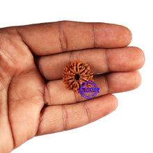 Load image into Gallery viewer, 9 Mukhi Nepalese Rudraksha - Bead No. 419