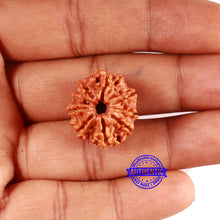 Load image into Gallery viewer, 9 Mukhi Nepalese Rudraksha - Bead No. 395