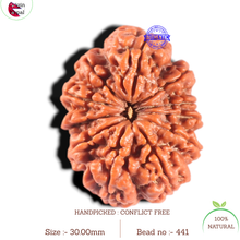 Load image into Gallery viewer, 11 Mukhi Nepalese Rudraksha - Bead No. 441