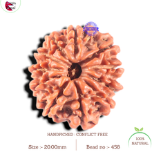 Load image into Gallery viewer, 11 Mukhi Nepalese Rudraksha - Bead No. 458