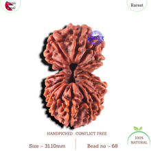 Load image into Gallery viewer, 17 Mukhi Nepalese Rudraksha - Bead No. 68