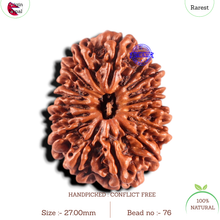 Load image into Gallery viewer, 17 Mukhi Nepalese Rudraksha - Bead No. 76