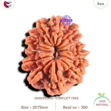 Load image into Gallery viewer, 14 Mukhi Nepalese Rudraksha - Bead No. 390