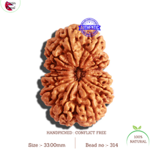 Load image into Gallery viewer, 11 Mukhi Nepalese Rudraksha - Bead No. 314