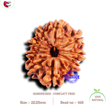 Load image into Gallery viewer, 10 Mukhi Nepalese Rudraksha - Bead No. 416