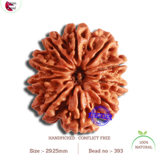Load image into Gallery viewer, 10 Mukhi Nepalese Rudraksha - Bead No. 393