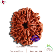 Load image into Gallery viewer, 10 Mukhi Nepalese Rudraksha - Bead No. 384