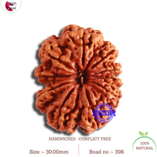 Load image into Gallery viewer, 10 Mukhi Nepalese Rudraksha - Bead No. 398