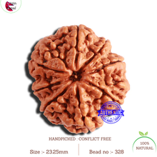 Load image into Gallery viewer, 8 Mukhi Nepalese Rudraksha - Bead No. 328