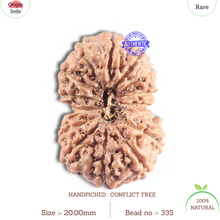 Load image into Gallery viewer, 16 Mukhi Rudraksha from Indonesia - Bead No. 335