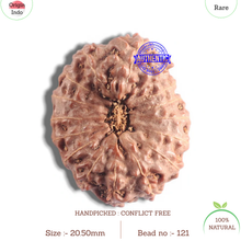 Load image into Gallery viewer, 16 Mukhi Rudraksha from Indonesia - Bead No. 121