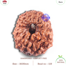 Load image into Gallery viewer, 15 Mukhi Indonesian Rudraksha - Bead No. 119