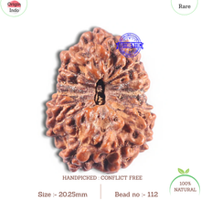 Load image into Gallery viewer, 15 Mukhi Indonesian Rudraksha - Bead No. 112