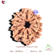 Load image into Gallery viewer, 10 Mukhi Nepalese Rudraksha - Bead No. 121