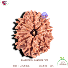 Load image into Gallery viewer, 10 Mukhi Nepalese Rudraksha - Bead No 201
