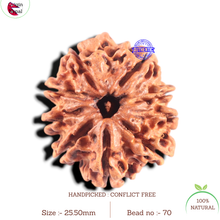 Load image into Gallery viewer, 9 Mukhi Nepalese Rudraksha - Bead No. 70