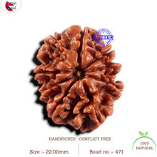 Load image into Gallery viewer, 9 Mukhi Nepalese Rudraksha - Bead No. 471