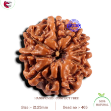 Load image into Gallery viewer, 9 Mukhi Nepalese Rudraksha - Bead No. 465