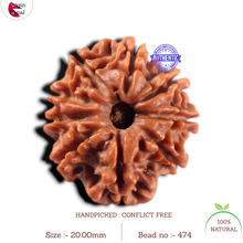 Load image into Gallery viewer, 9 Mukhi Nepalese Rudraksha - Bead No. 474
