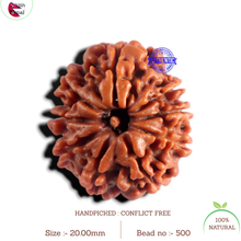 Load image into Gallery viewer, 9 Mukhi Nepalese Rudraksha - Bead No. 500