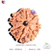 Load image into Gallery viewer, 8 Mukhi Nepalese Rudraksha - Bead No. 432