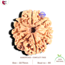 Load image into Gallery viewer, 8 Mukhi Nepalese Rudraksha - Bead No. 80