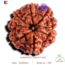 Load image into Gallery viewer, 8 Mukhi Nepalese Rudraksha - Bead No. 476