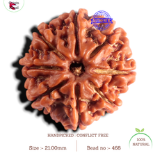 Load image into Gallery viewer, 8 Mukhi Nepalese Rudraksha - Bead No. 468