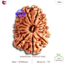 Load image into Gallery viewer, 15 Mukhi Rudraksha from Nepal - Bead No. 73