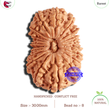 Load image into Gallery viewer, 20 Mukhi Nepalese Rudraksha - Bead No 8