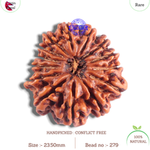 Load image into Gallery viewer, 14 Mukhi Nepalese Rudraksha - Bead No. 379