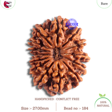 Load image into Gallery viewer, 14 Mukhi Nepalese Rudraksha - Bead No. 184