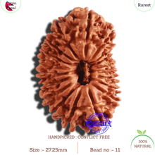 Load image into Gallery viewer, 19 Mukhi Nepalese Rudraksha - Bead 11