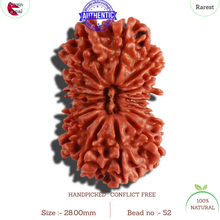 Load image into Gallery viewer, 18 Mukhi Rudraksha from Nepal - Bead No. 52