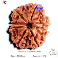 Load image into Gallery viewer, 8 Mukhi Nepalese Rudraksha - Bead No. 470