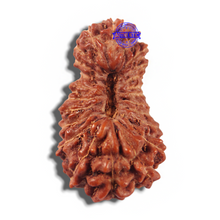 Load image into Gallery viewer, 23 Mukhi Rudraksha from Indonesia - Bead No. R